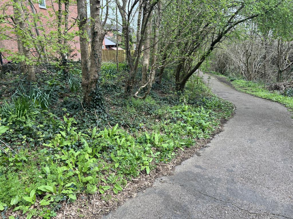 Lot: 3 - SEVERAL PARCELS OF FREEHOLD LAND AND VERGES - General view of land at the bottom of Linnet and Plassey